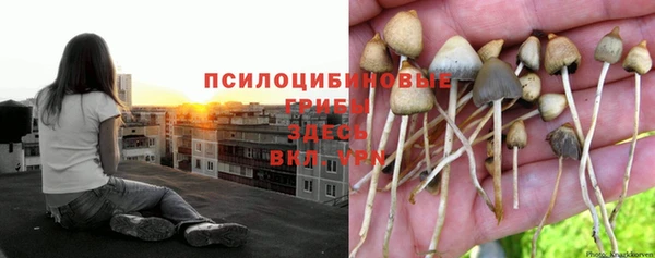 тгк Абдулино