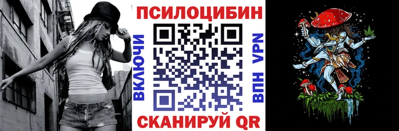 цены наркотик  Карабаново  Галлюциногенные грибы Psilocybe 